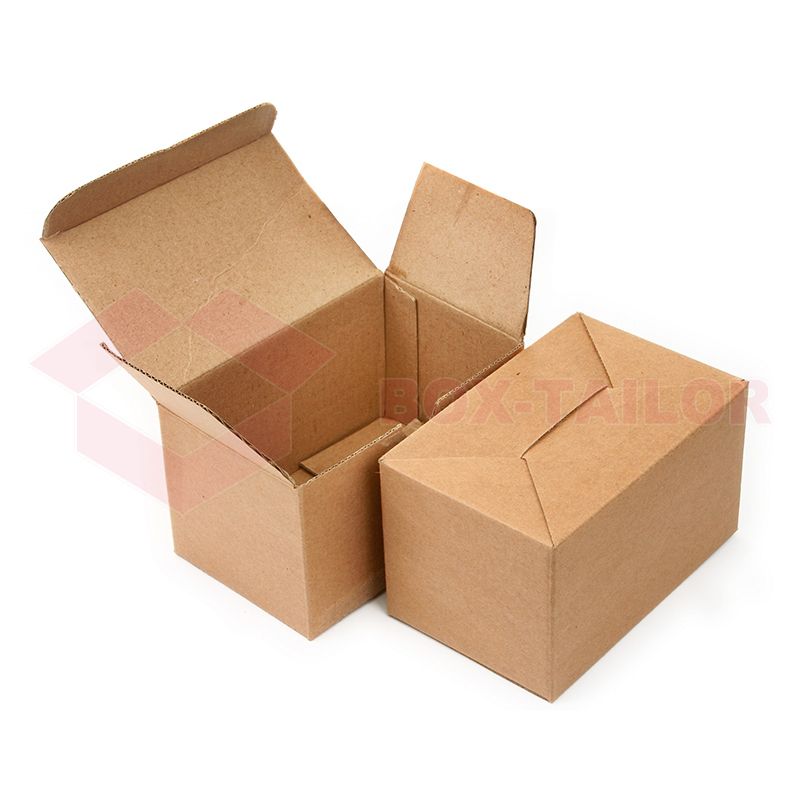 Customized Printing Corrugated Mailer Shipping Box Pet Food Subscription Box